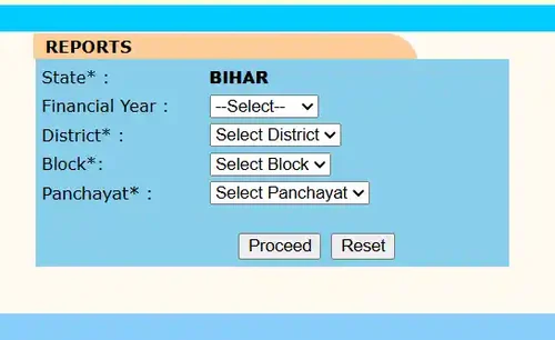 NREGA Reports Parameter Form